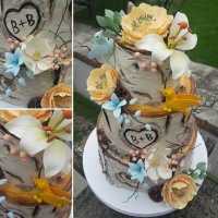 Nutty cupcakes breza